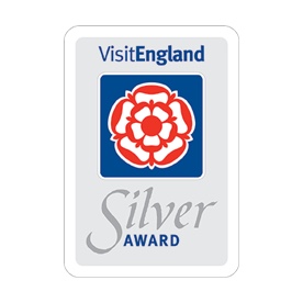 Logo Silver Awards